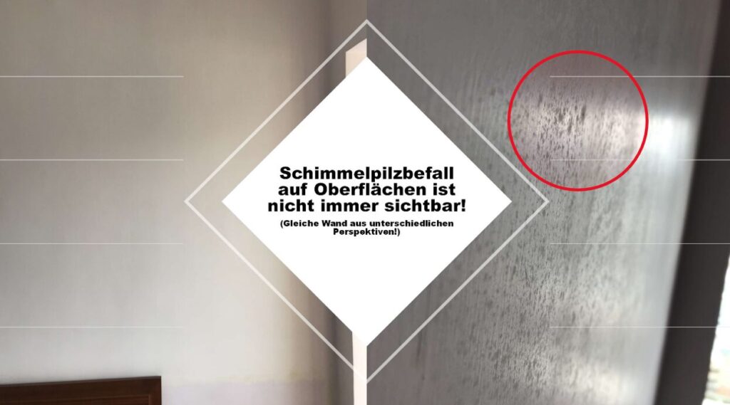 Schimmelpilzbefall auf Oberflächen 2