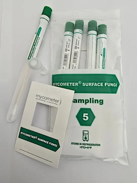 mycometer surface fungi wuppertal 01