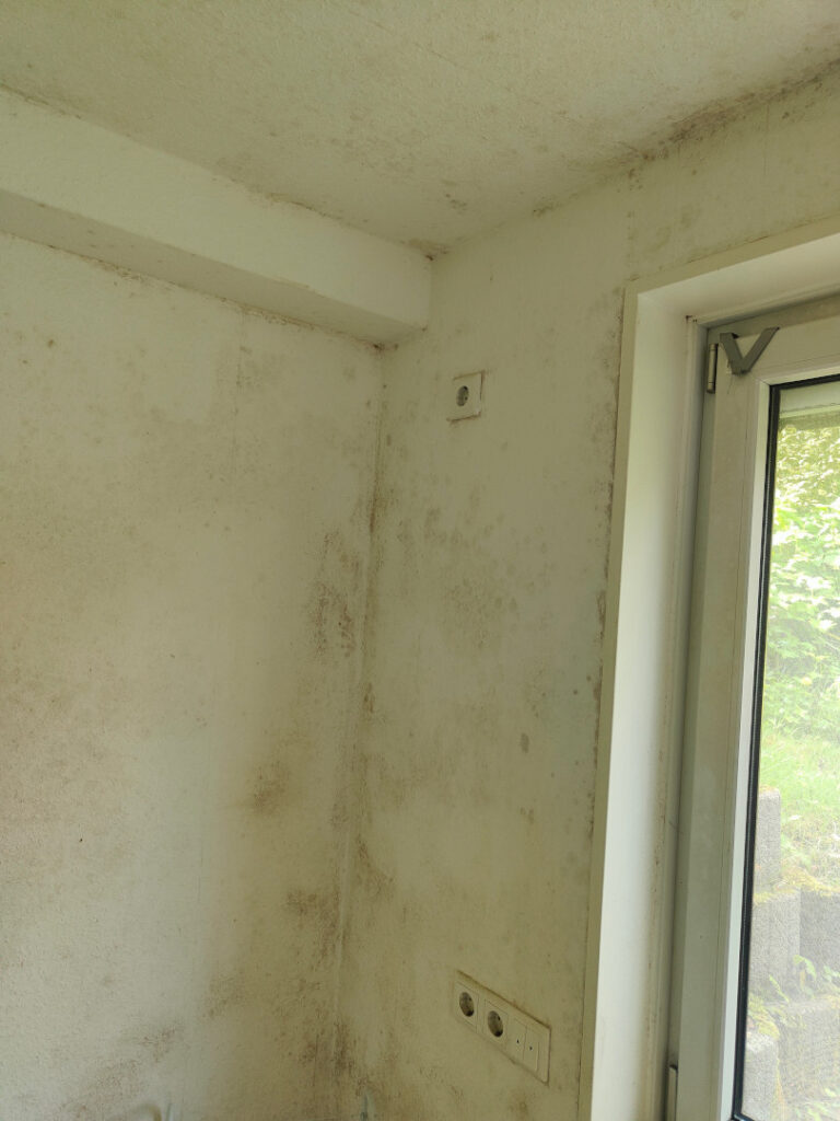 Schimmel in Deiner Wohnung 2