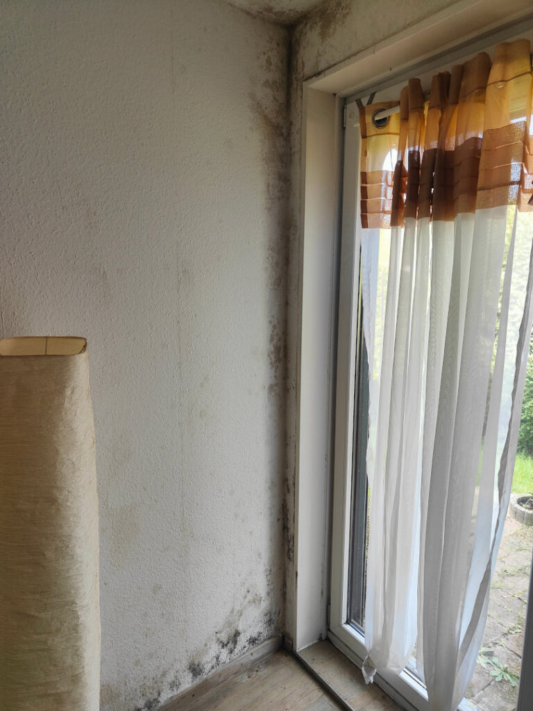 Schimmel in Deiner Wohnung 4