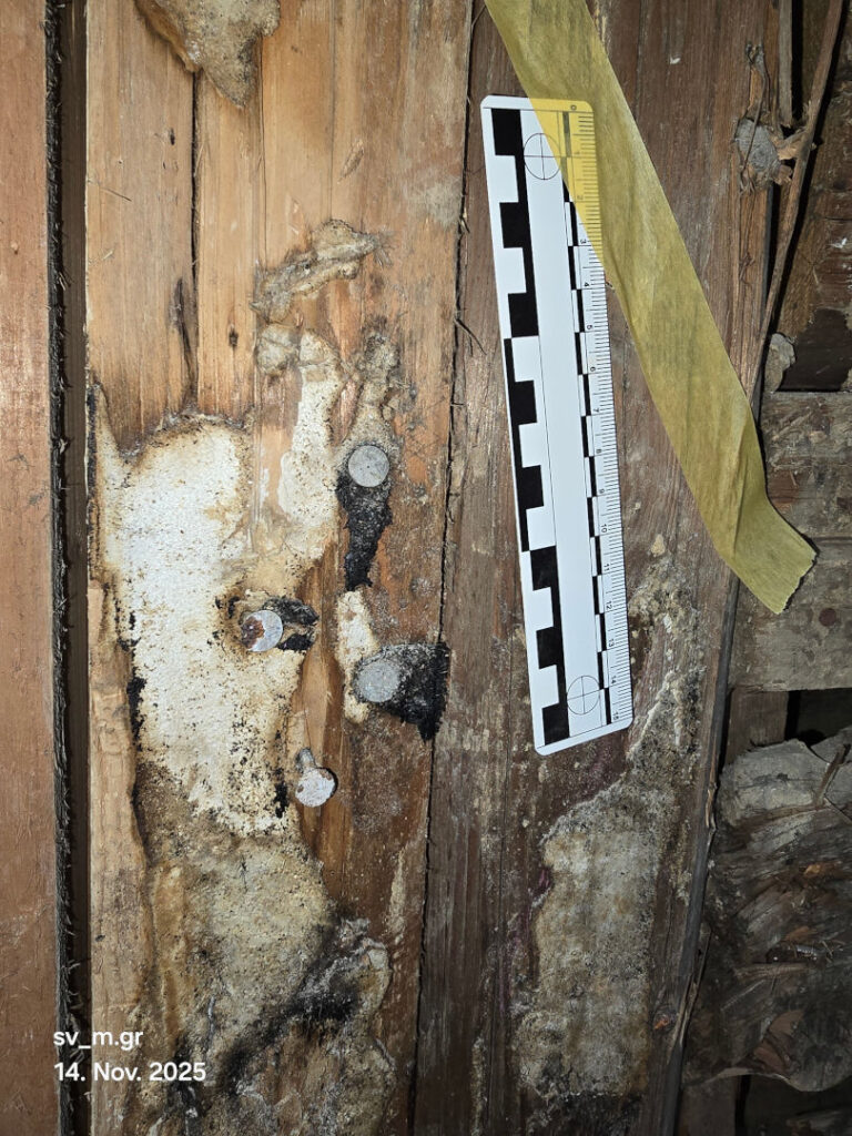 Versteckter Schimmel nach Bauteilöffnung 2