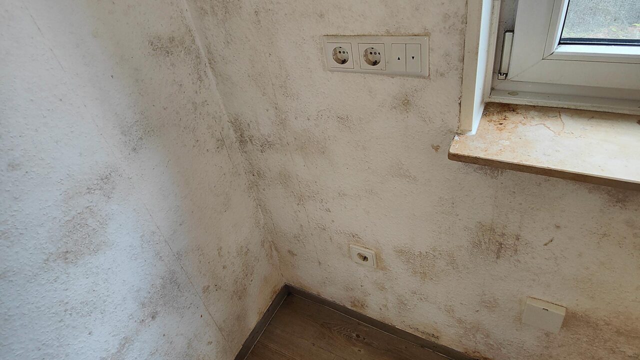 Sachverstaendiger Schimmel Wasserschaden Wuppertal 02