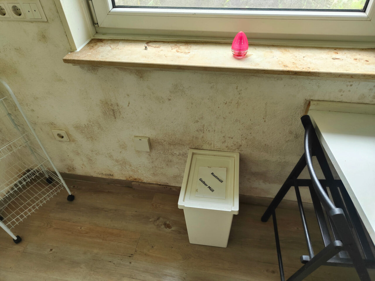 Schimmel in Deiner Wohnung 1