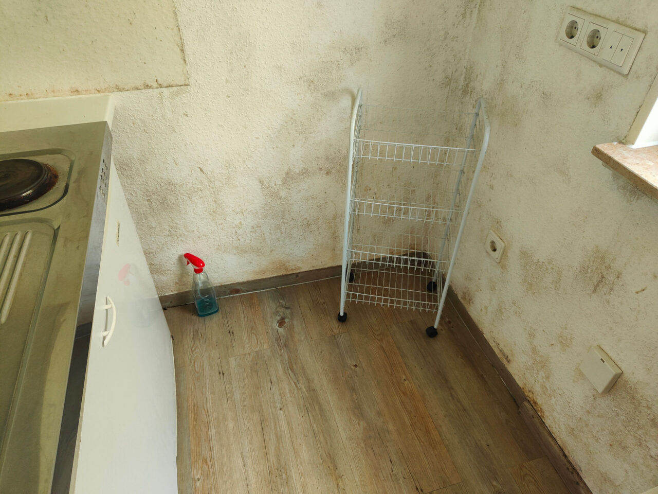Schimmel in Deiner Wohnung 3