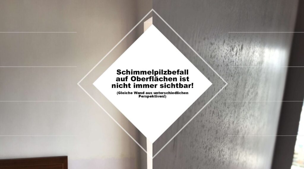Schimmelpilzbefall auf Oberflaechen
