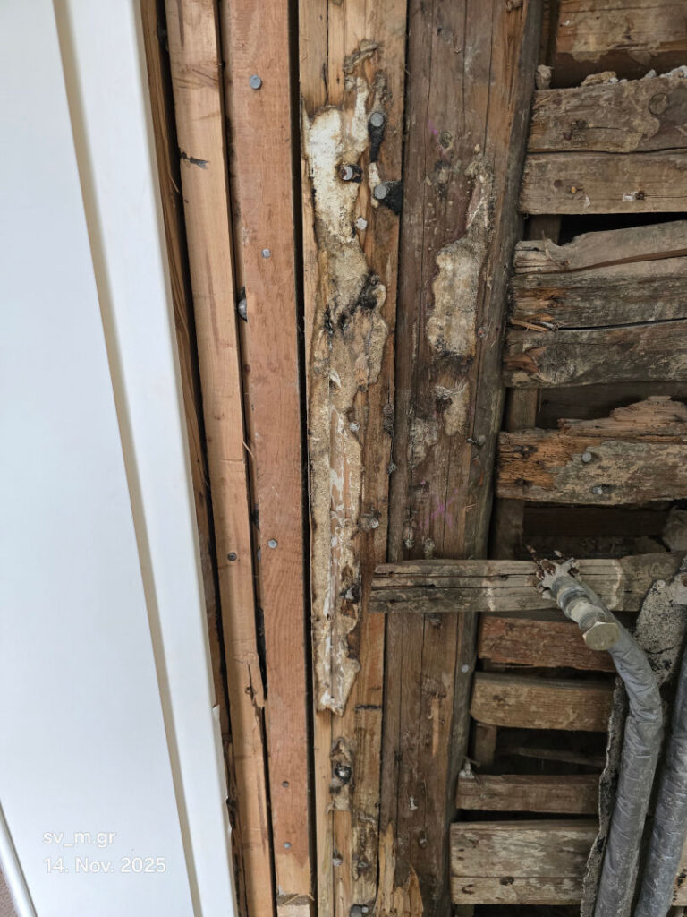 Versteckter Schimmel nach Bauteiloeffnung 1