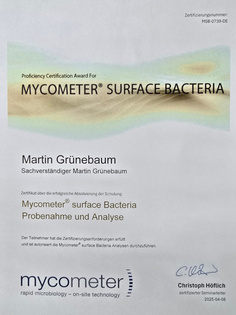 Zertifikat Mycometer Surface Bacteriia