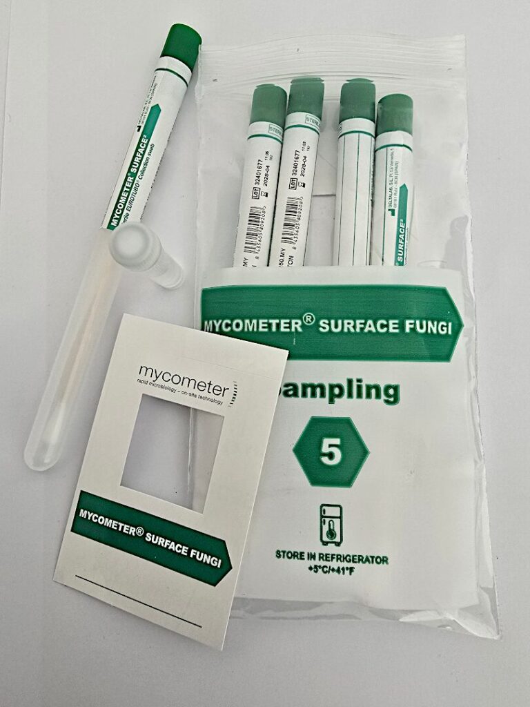 mycometer surface fungi wuppertal 01